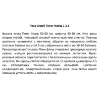 слайд 3