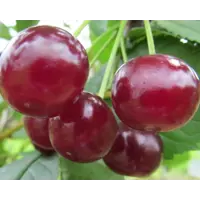 слайд 0