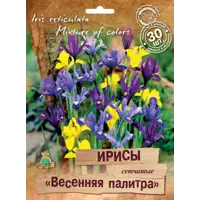слайд 0