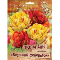 слайд 0