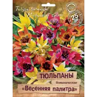 слайд 0