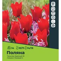 слайд 0