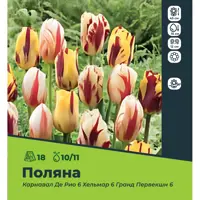 слайд 0