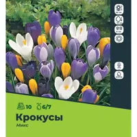слайд 0