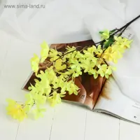слайд 0