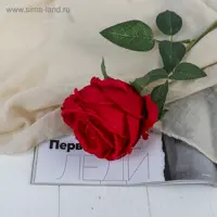 слайд 0