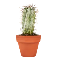 слайд 8