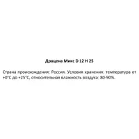 слайд 3