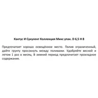 слайд 4