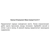 слайд 4