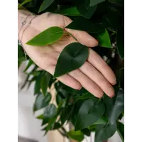 слайд 3