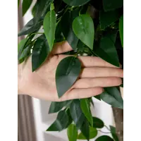 слайд 4