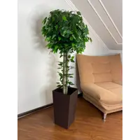 слайд 0