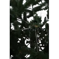 слайд 5