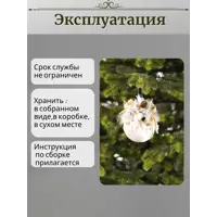 слайд 5