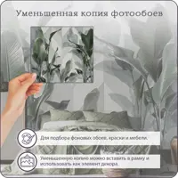 слайд 5