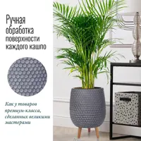 слайд 5