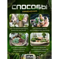 слайд 6