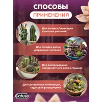 слайд 6