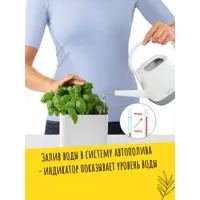 слайд 4