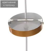 слайд 6