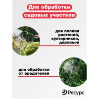 слайд 5