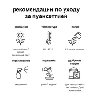 слайд 3