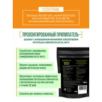 слайд 4