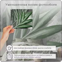 слайд 5