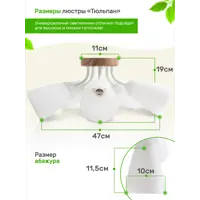 слайд 5