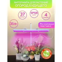 слайд 0
