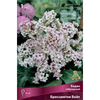 слайд 0