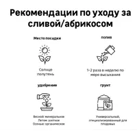слайд 3