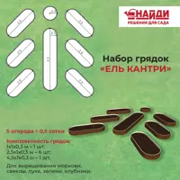 слайд 6
