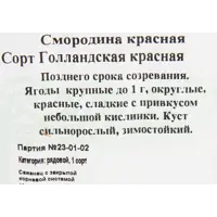 слайд 3