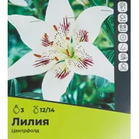 слайд 0