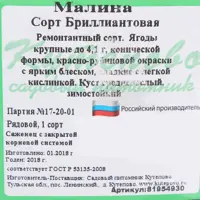 слайд 3