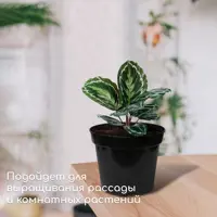 слайд 3