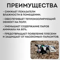 слайд 5