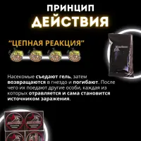 слайд 4