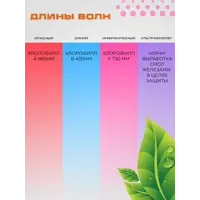 слайд 7