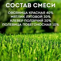слайд 4