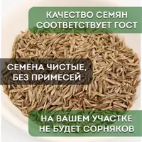 слайд 6