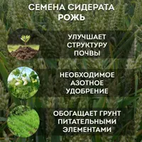 слайд 4