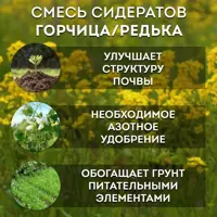 слайд 3
