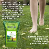 слайд 4