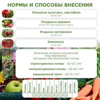 слайд 4