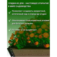 слайд 10