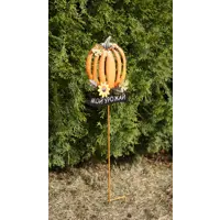 слайд 0