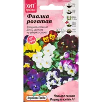 слайд 0